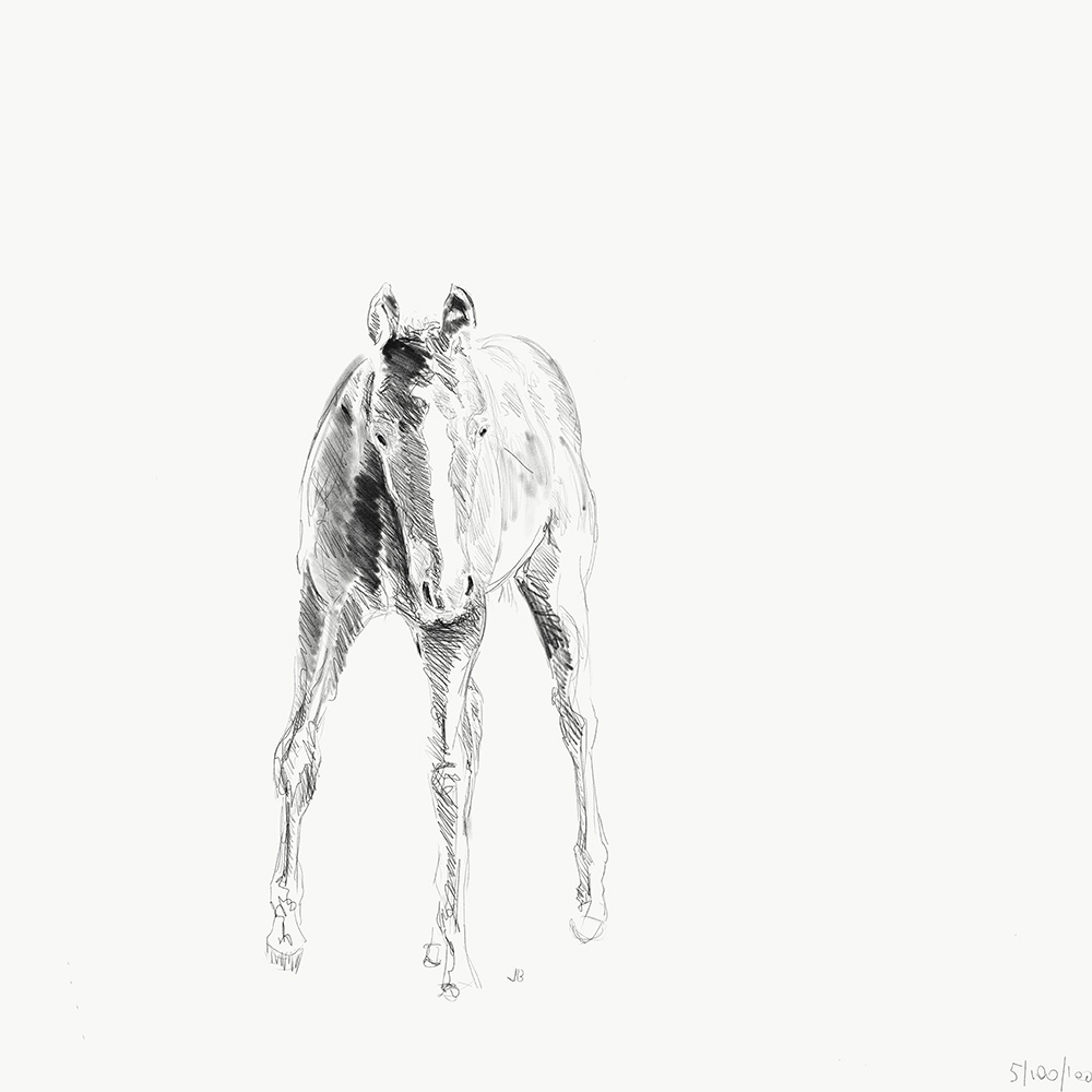 ARTXXL_horse_009_pencil